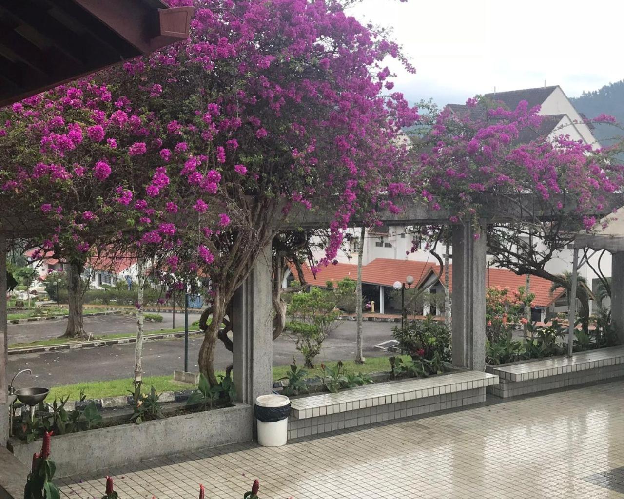 Thatniceplace, Selesa Hillhomes, Bukit Tinggi, Janda Baik, Genting Bentong Exteriör bild